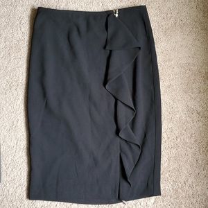Tahari | Skirt Size 6 NWT